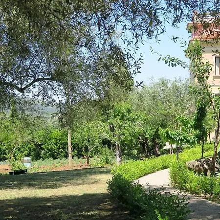 Vincenza Vallo della Lucania