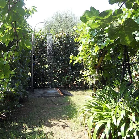 Bed and breakfast Vincenza Vallo della Lucania