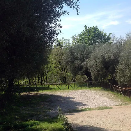 Bed and breakfast Vincenza Vallo della Lucania