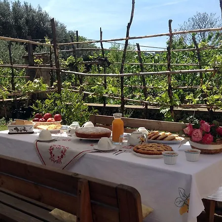 Vincenza Bed and breakfast