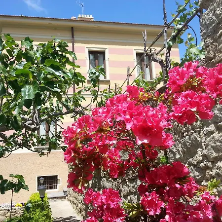 Vincenza Vallo della Lucania