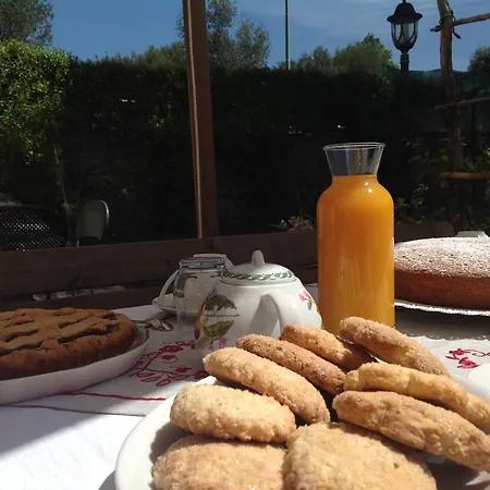 Vincenza Bed and breakfast Vallo della Lucania